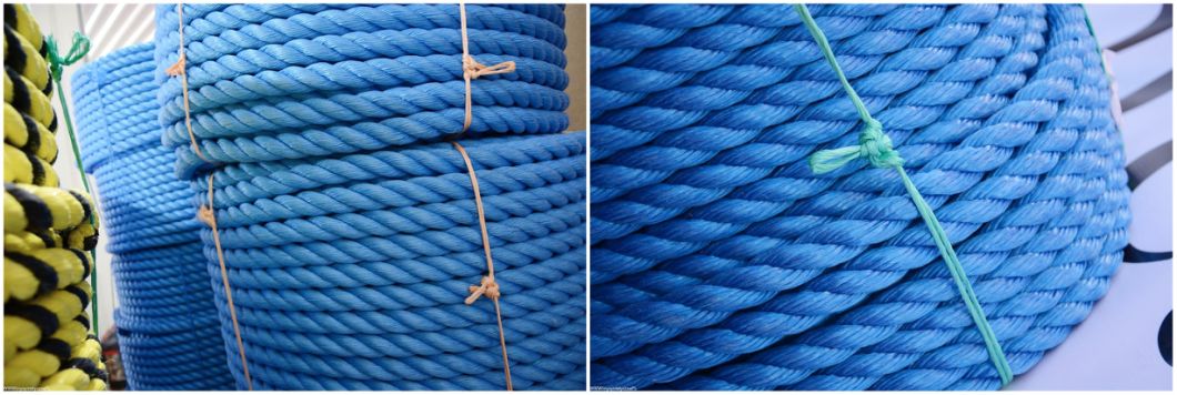 Blue 3-Strands Twisted Polypropylene Monofilament Rope with Both End Plain