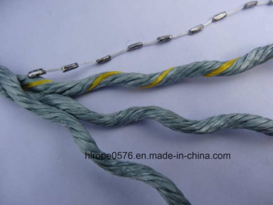 Good Quality Polypropylene Boad Lead Rope