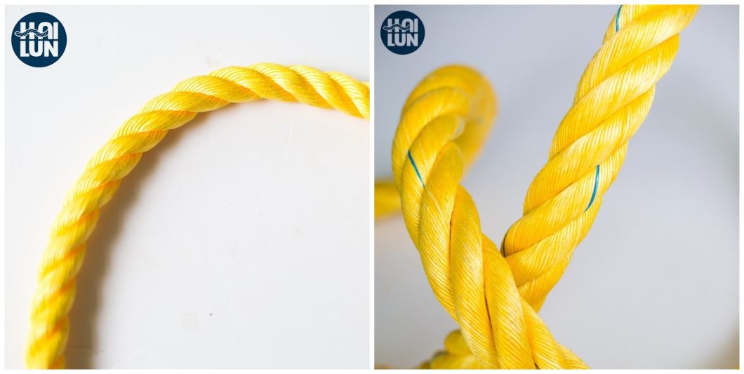 3 Strand Braided PP Danline Rope for Fishing and Mooring