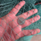 Durable Braided Green PE Fishing Net