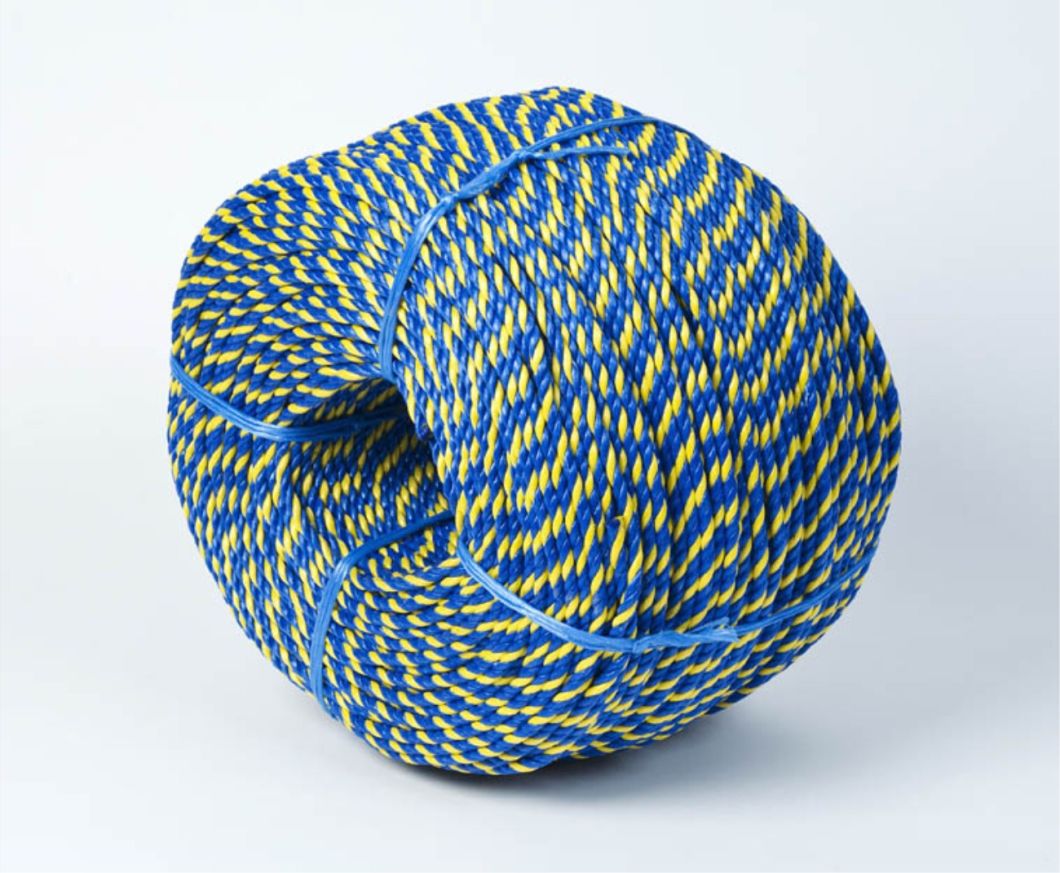 PP Rope Blue and Yellow 10mm