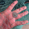 Good Quality High Strength Braided Green PE Fishing Net