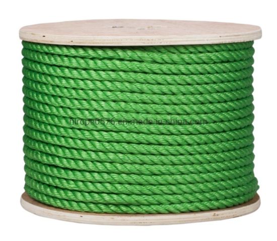 PP Danline Rope Polypropylene/Polyethylene PP/PE Fishing Rope