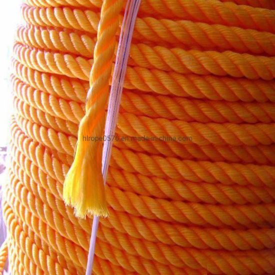 High Quality 3/4 Strand Polypropylene PP/PE Twist Danline Rope