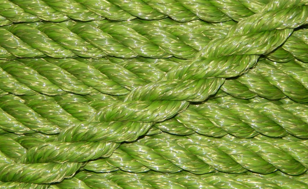 Hot Sale UV Protection Agriculture Usage PP Baler Rope with Fibrillated Yarn