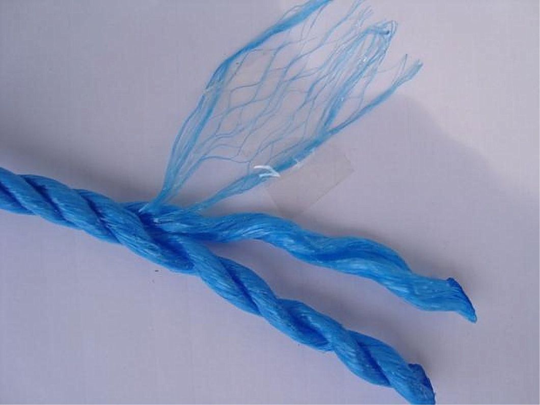 3-Stands High Quality Split Film PP Baler Twine Rope with Fibrillated Yarn