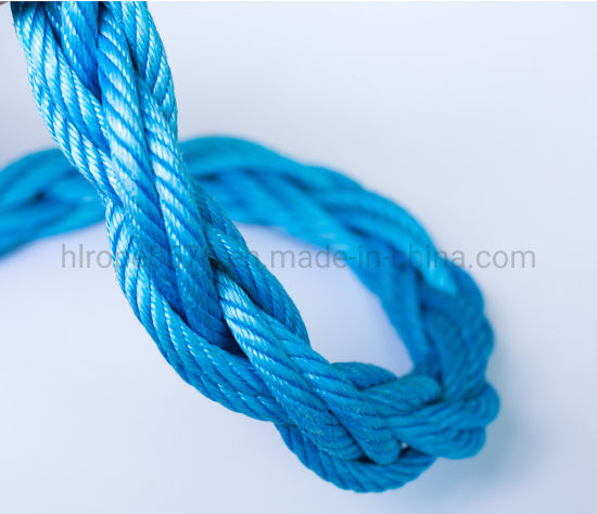 3/4/6/8 Strands PP Combination Compound Steel Wire Rope + FC/Iwrc for Marine