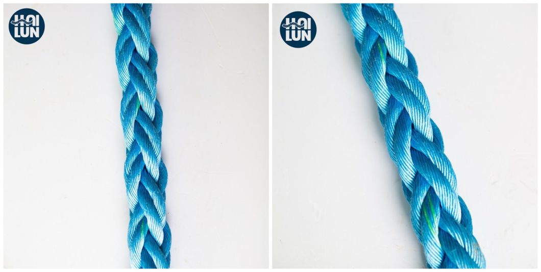 8 Strand Braided Polypropylenedanline Marine Rope