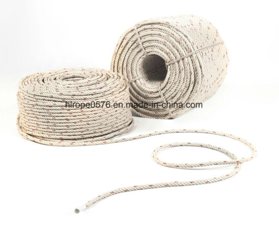 High Quality 3/4 Strand PP Rope Manufacturer Exporter in China