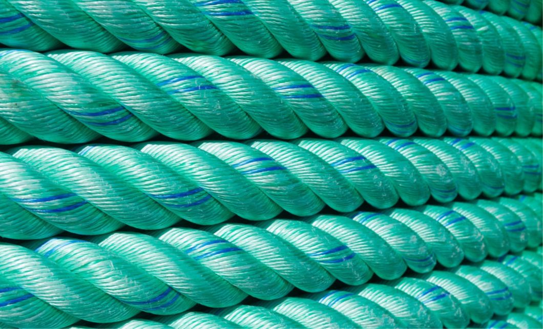 3-Strands Green Polypropylene Twist Boad Rope in Roll for Agriculture